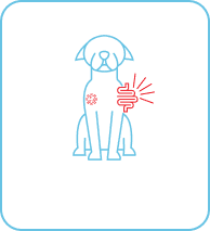 Canine Distemper
