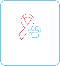 Chronic Pain / Cancer Pain
