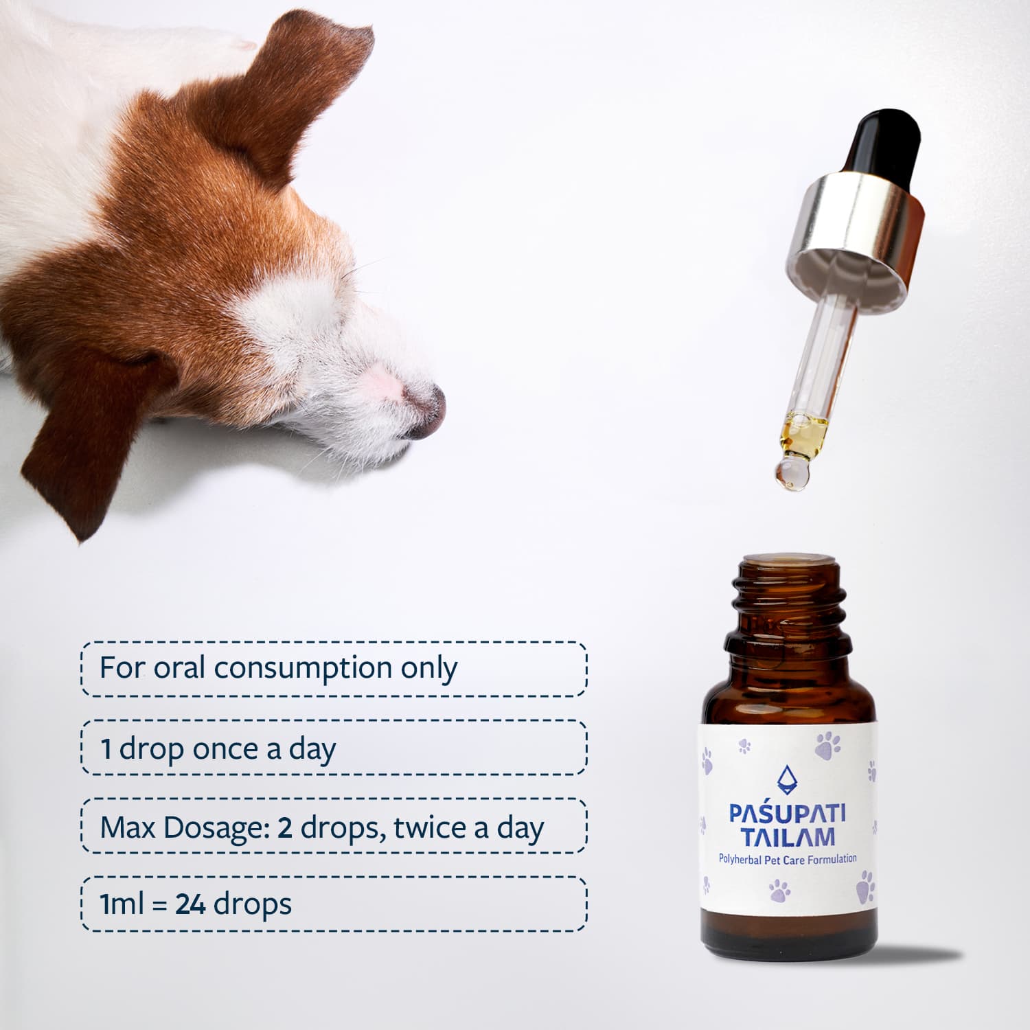 Image of Pasupati Tailam with the cap opened with the dosage instructions mentioned alongwith a top image of a dog