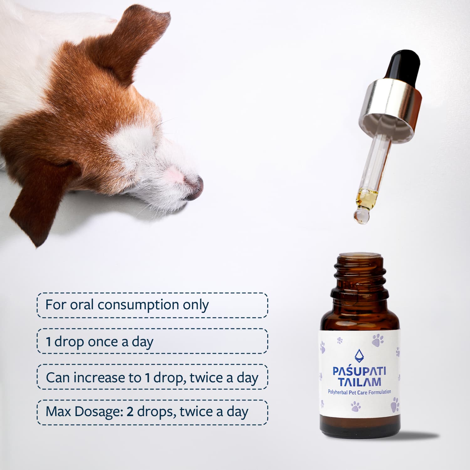 Image of Pasupati Tailam with the cap opened with the dosage instructions mentioned alongwith a top image of a dog